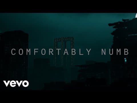 Thumbnail for Roger Waters - Comfortably Numb 2022 (Official Video) by Roger Waters