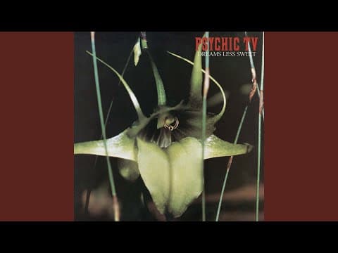 Thumbnail for 25 favourite cover songs from 2025 by Johnny Cash