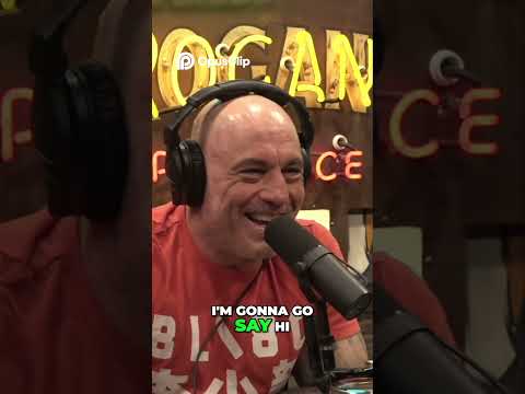 Thumbnail for Meeting Axl Rose A Backstage Experience at Guns N' Roses by Guns N Roses