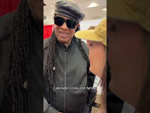 Thumbnail for Blind Girl Meets Stevie Wonder and Shakes the Wrong Persons Hand!!! 🦯🙈 by Stevie Wonder