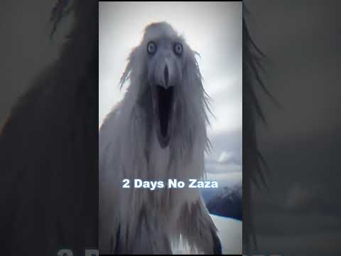 Thumbnail for Erosion Bird Zaza by Cream