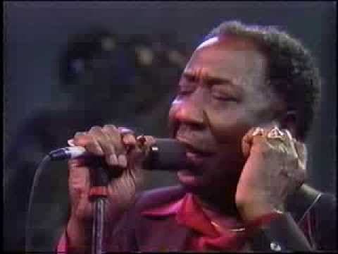 Thumbnail for Muddy Waters / The Living Legends of Blues by Muddy Waters